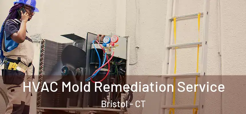  HVAC Mold Remediation Service Bristol - CT