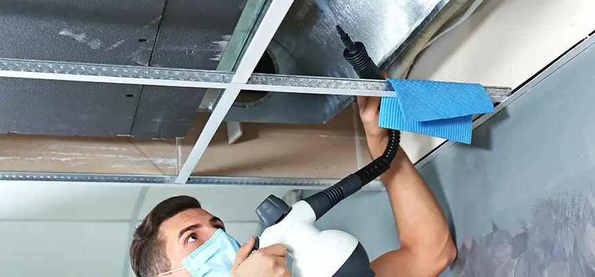 Our Air Duct Rodent Removal Services in Bristol, CT