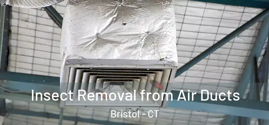 Insect Removal from Air Ducts Bristol - CT