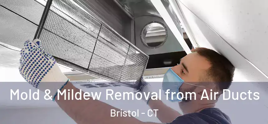  Mold & Mildew Removal from Air Ducts Bristol - CT