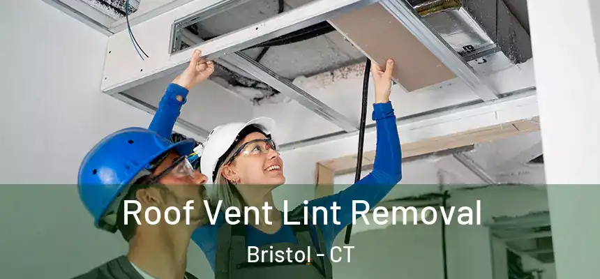 Roof Vent Lint Removal Bristol - CT