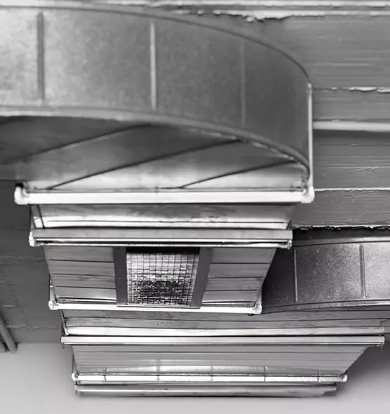 Professional Air Duct Pest Removal in Bristol, CT