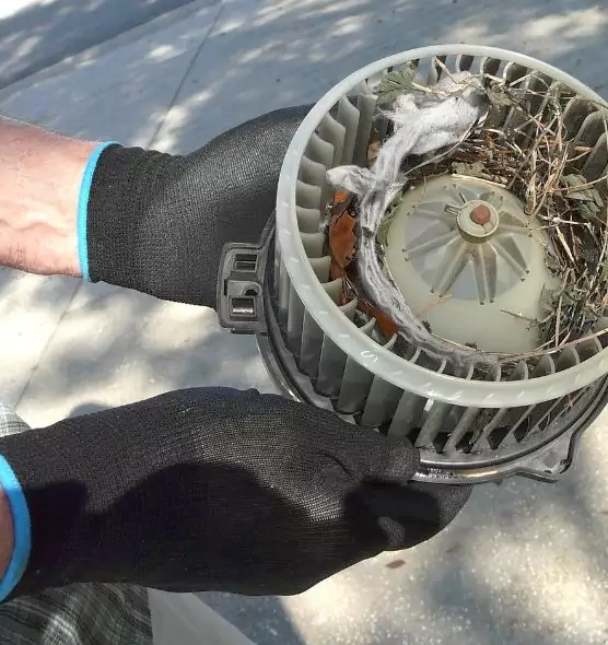 About Air Duct Rat Removal in Bristol, CT