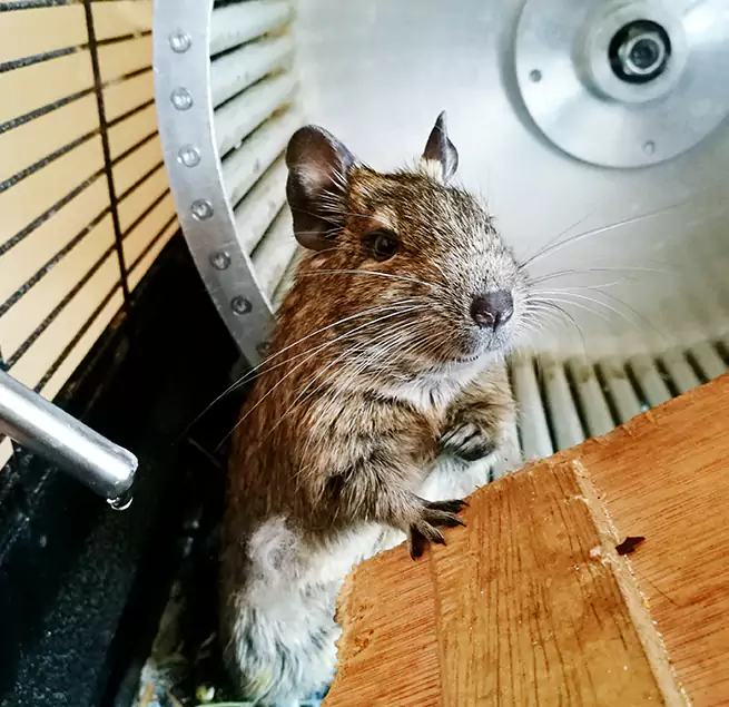 Why Homeowners & Businesses Trust Us Bristol, CT