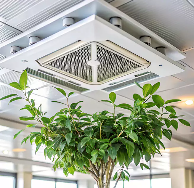 Why Homeowners & Businesses Trust Us in Bristol, CT